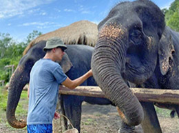 Talen Bay Half Day Tour Kayaking and Elephant