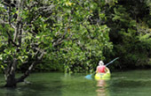 Talen Bay Half Day Tour Kayaking and Elephant