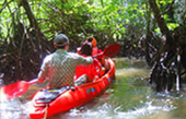 Talen Bay Half Day Tour Kayaking and Elephant