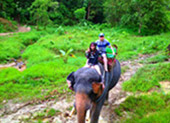 Talen Bay Half Day Tour Kayaking and Elephant