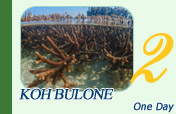 Koh Bulone - More nature than Lipe