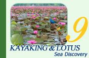 Kayaking and Lotus Sea Discover