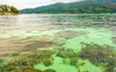 Unseen  Spots Lipe Island 4 Days 3 Nights