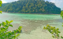 Unseen  Spots Lipe Island 4 Days 3 Nights