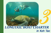 Longtail Boat Charter in Koh Tao