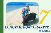 Longtail Boat Charter in Samui