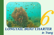 Longtail Boat Charter in Trang