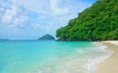 Longtail Boat Charter in Phuket: Coral Island