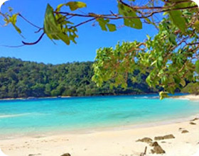 Longtail Boat Charter in Koh Lanta