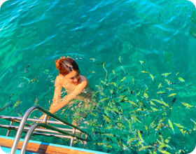 Longtail Boat Charter in Phi Phi Island