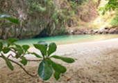 Longtail Boat Charter in Trang: Koh Kradan