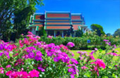 3 Days 2 Nights North Chiang Mai - Pai