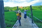 Ban Rak Thai: A Journey into the Fog Village