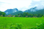 3 Days 2 Nights North Chiang Mai - Pai