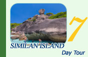 Similan Island Day Tour