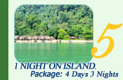 4 Days 3 Nights, 1 Night on Island