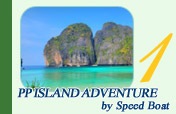 PP Island Adventure by Speed Boat