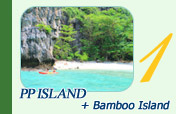 PP Island + Bamboo Island