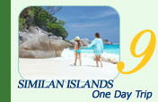 One Day Similan Islands