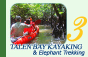 Talen Bay Half Day Kayaking and Elephant