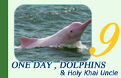 One Day Tour, Dolphins and Holy Khai Uncle