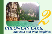 Cheowlan Lake, Khaosok and Pink Dophins 3 Days