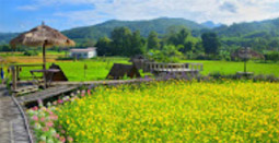 Buddha Trace: Nan - Phrae 4 Days 3 Nights