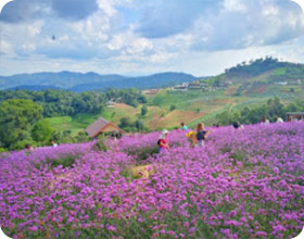 Be Water Mitty 8 Days. North of Thailand