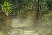 Adventure: Buggy or ATV Half-Day Tour