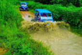 Adventure: Buggy or ATV Half-Day Tour