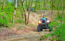 Adventure: Buggy or ATV Half-Day Tour