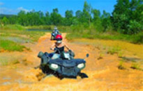 Adventure: Buggy or ATV Half-Day Tour