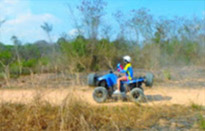 Adventure: Buggy or ATV Half-Day Tour