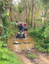 Adventure: Buggy or ATV Half-Day Tour