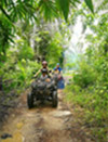 Adventure: Buggy or ATV Half-Day Tour