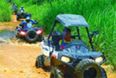 Adventure: Buggy or ATV Half-Day Tour