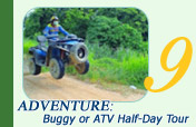 Adventure: Buggy or ATV Half-Day Tour