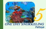 One Day Snorkeling Pattaya