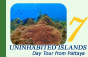 Uninhabited Islands : Day Tour from Pattaya