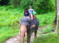 Koh Payam and Beyond: 4 Days 3 Nights Nature Adventure