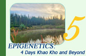 Epigenetics: Khao Kho and Beyond