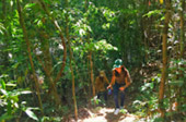 Adventure in Natural Area