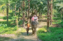 Adventure in Natural Area