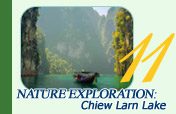 One Day Nature Exploration: Chiew Larn Lake