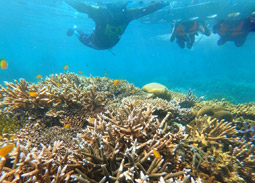 Surin Islands