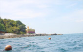 Charter Long Tail Boat Koh Bon and Magic Temple Island