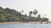 Charter Long Tail Boat Koh Bon and Magic Temple Island