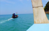 Charter Long Tail Boat Coral Island