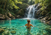 Untamed Jungle and Waterfall Enjoying