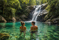 Untamed Jungle and Waterfall Enjoying
